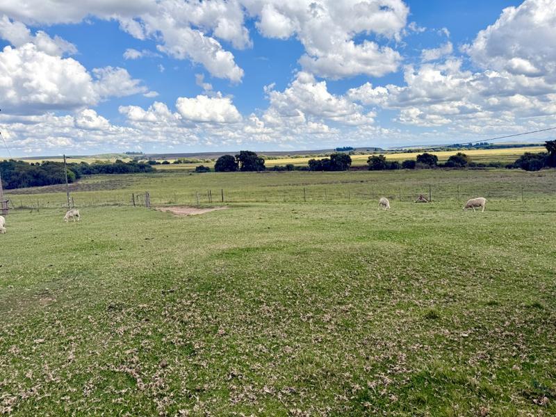 0 Bedroom Property for Sale in Harrismith Free State